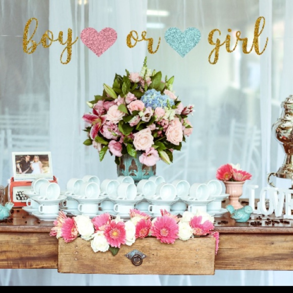 Boy or girl banner
